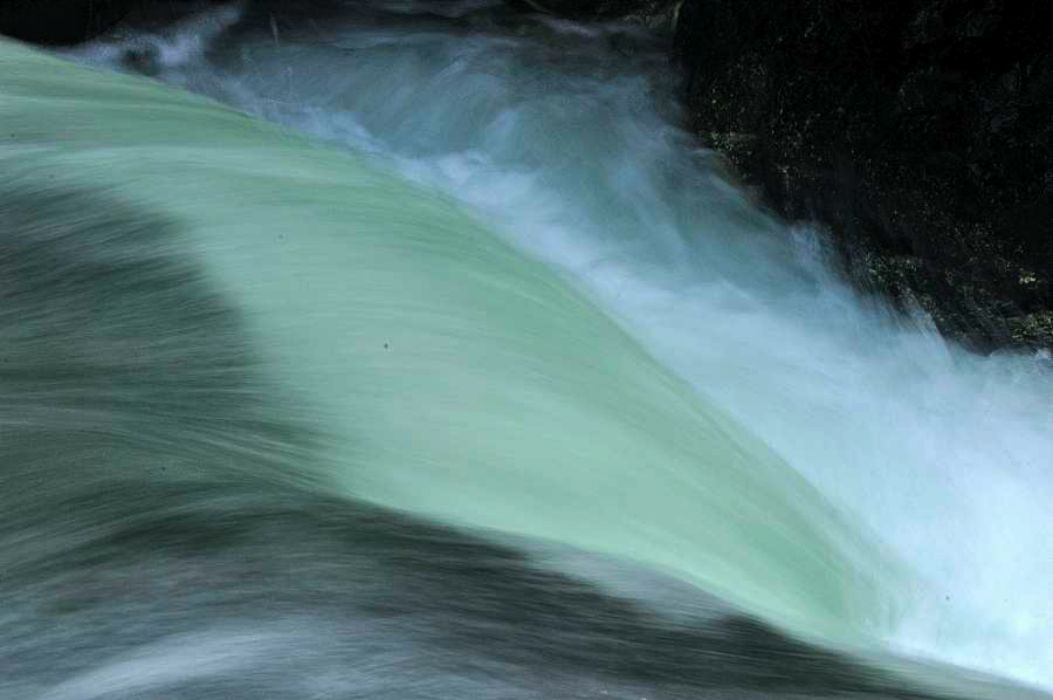 Nom de l'image : D2013516-1_(c)Norbert-JUNG — Description :